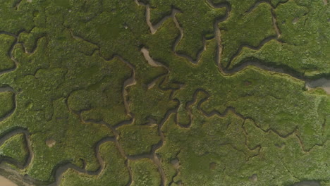 Top-Down-Drone-Shot-of-Natural-Green-Salt-Marsh-at-Low-Tide-with-White-Birds-in-Wells-next-The-Sea-North-Norfolk-UK-East-Coast