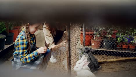 mother and little daughter farmers are feeding rabbit in cage, watching them eat and laughing. domestic animals, happy childhood and farming concept.