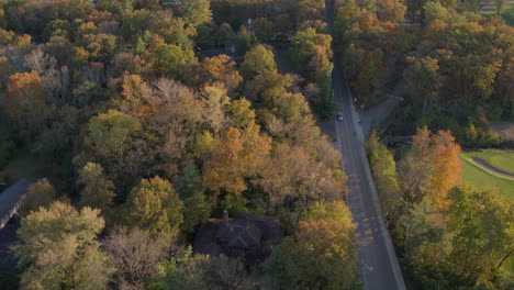 Flyover-pretty-houses-and-trees-in-upscale-St