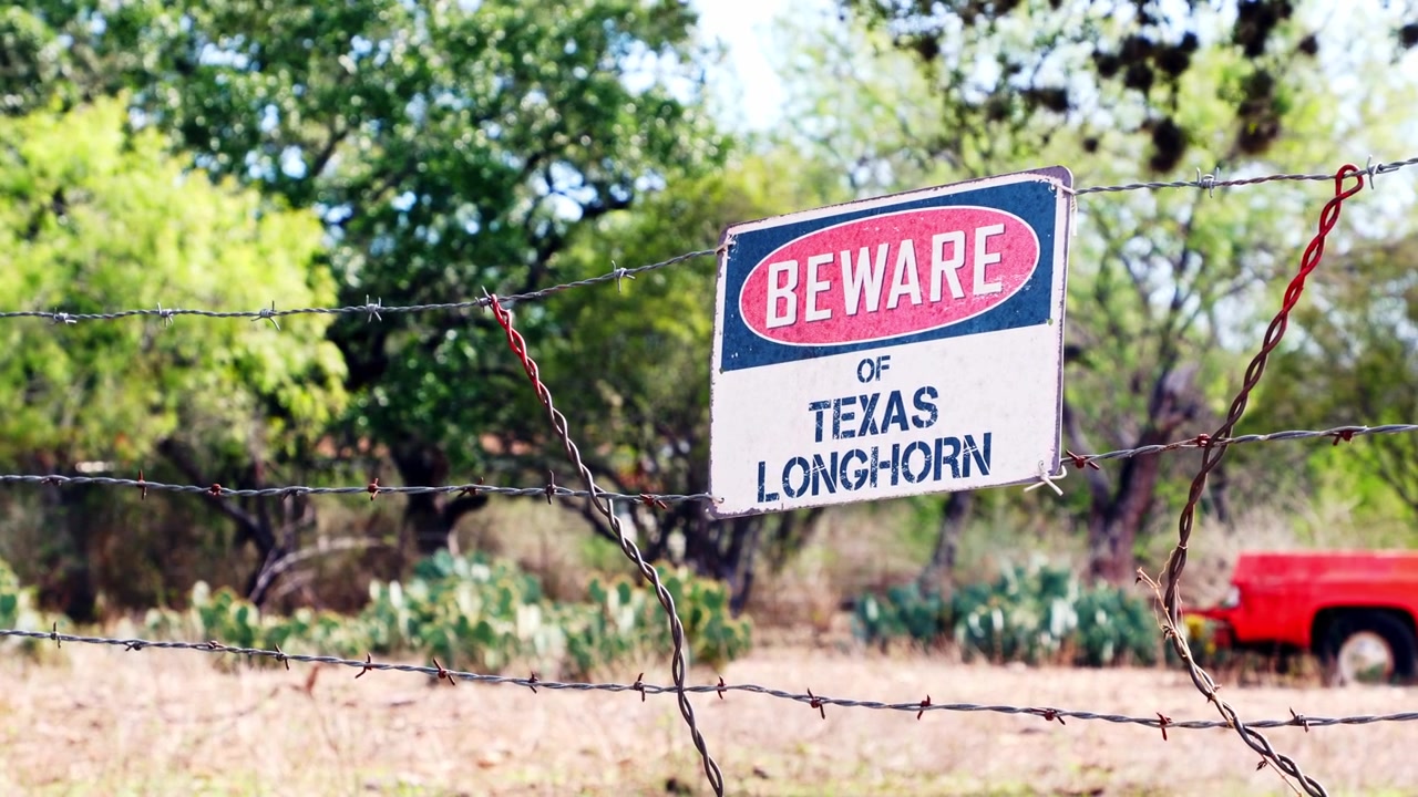 Beware Texas Longhorn Sign on Barbed Wire Fence on Country Ranch