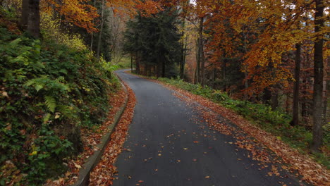 Autumn-road-in-mountain-forest,-yellow-and-red-foliage-trees