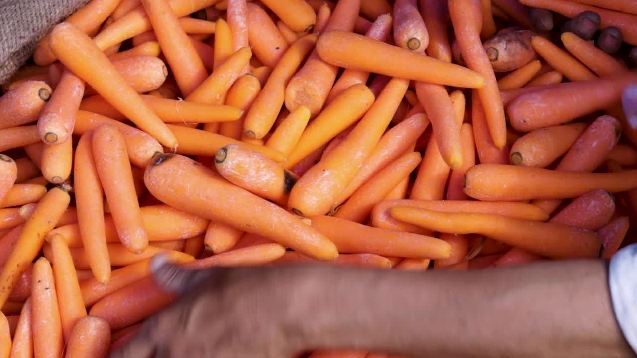 zanahoria orgánica fresca de la granja de cerca desde un ángulo diferente