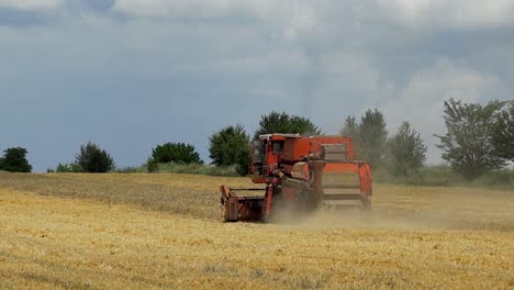 Wheat Harvesting. Combine harvester working on sunny summer day