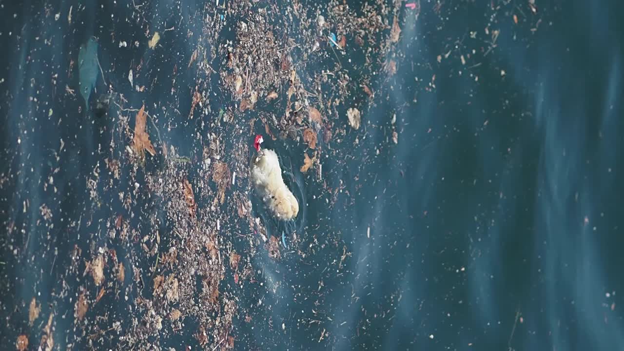 Water pollution with plastic and other debris