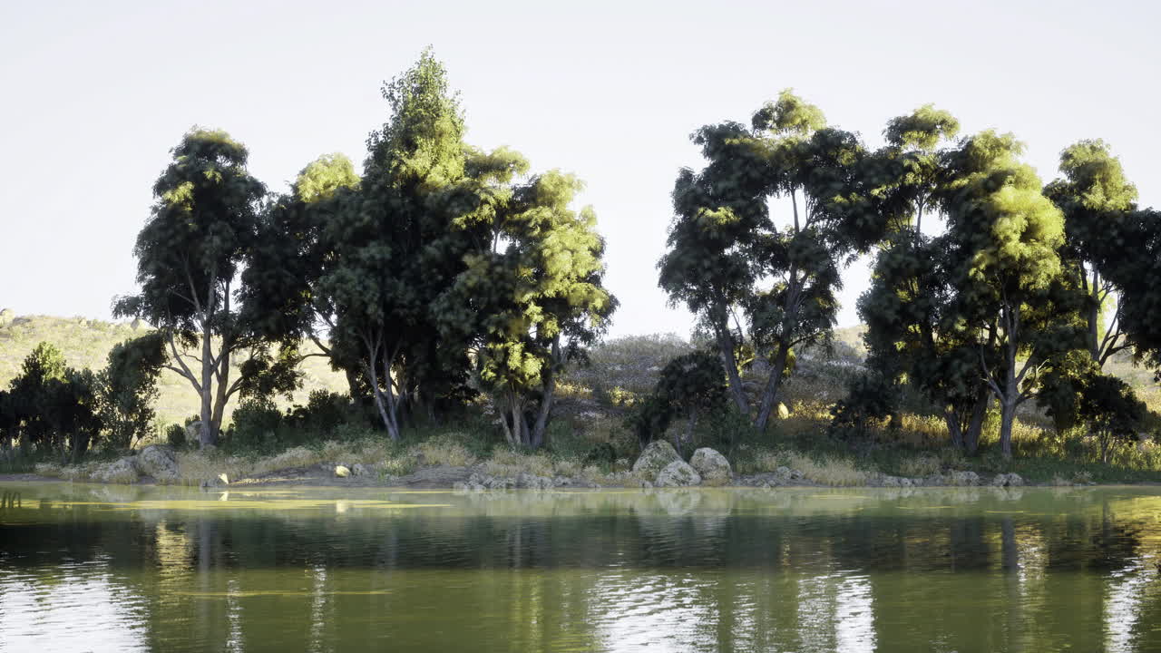Tranquil lakeside view with lush trees and gentle reflections at sunrise