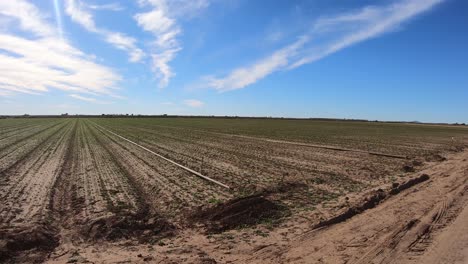 Pov-Conduciendo-Más-Allá-De-Un-Campo-De-Lechuga-Recién-Plantado-En-Yuma-Arizona