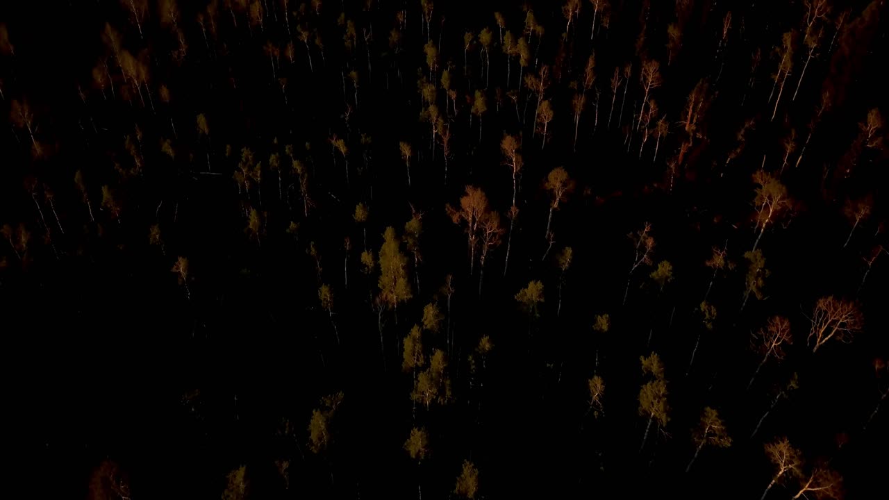 Aerial drone footage in the Uinta National Forest at sunrise in Utah.