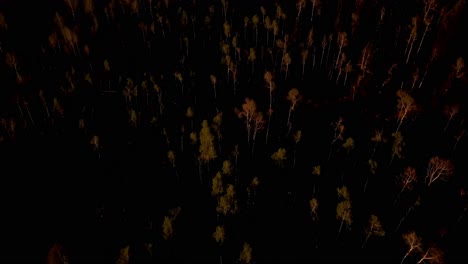aerial drone footage in the uinta national forest at sunrise in utah.
