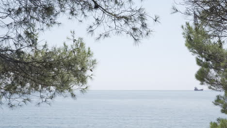 seascape, framed by pine trees and a ship in the distance