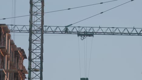 close-up view of a large green construction crane towering against a clear blue sky, highlighting the crane's boom, operator's cabin, and intricate cable system