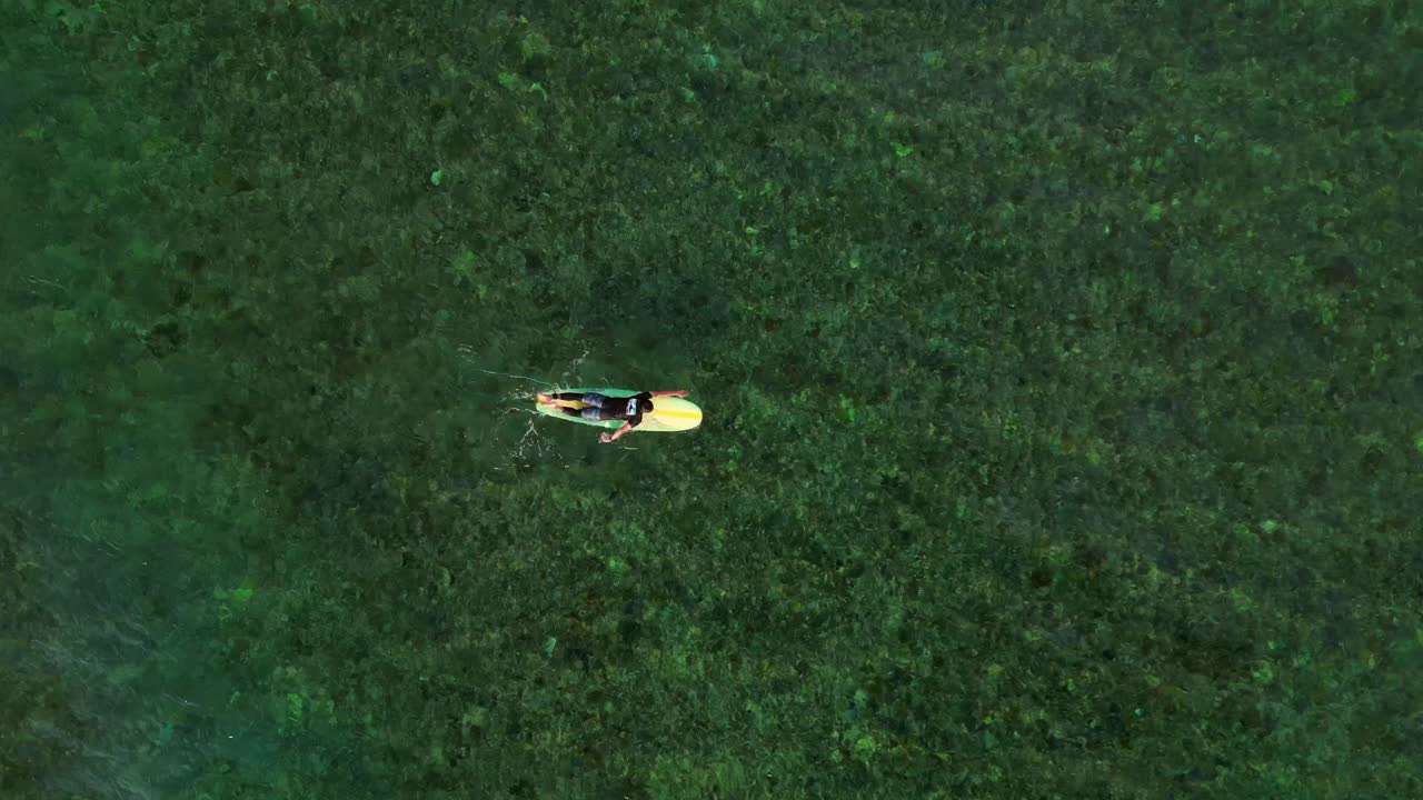 Surfista in attesa su tavole da surf colorate in acque oceaniche tropicali limpide, visto da una vista aerea dall'alto. Telecamera drone con vista aerea fluida puntata verso il basso