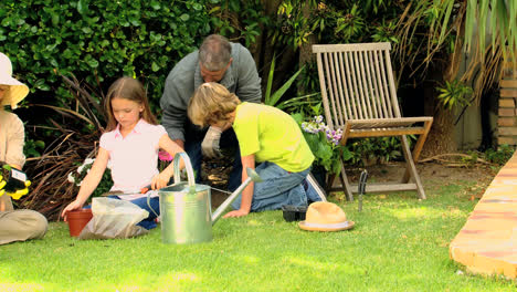 Jardinería-Para-Toda-La-Familia