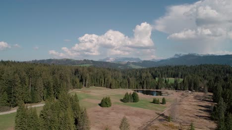 Aerial-of-Lakes,-Forests-and-Mountains-in-rural-Switzerland