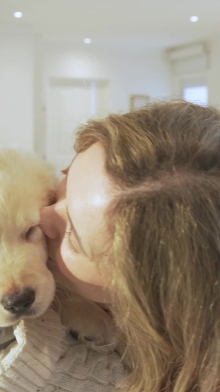 Video verticale: Donna che tiene un cucciolo dorato in una coperta e lo bacia sul divano, con il partner che tiene il cucciolo.