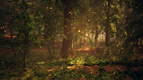 enchanted forest with glowing lights