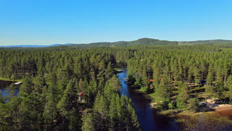 scenic beauty of coniferous forest and camping site by the river in summer at vansbro municipality, dalarna county, sweden