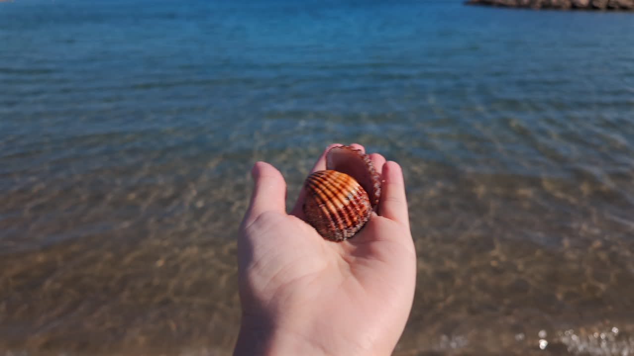 Close up of a hand holding a seashell against a clear blue sea background