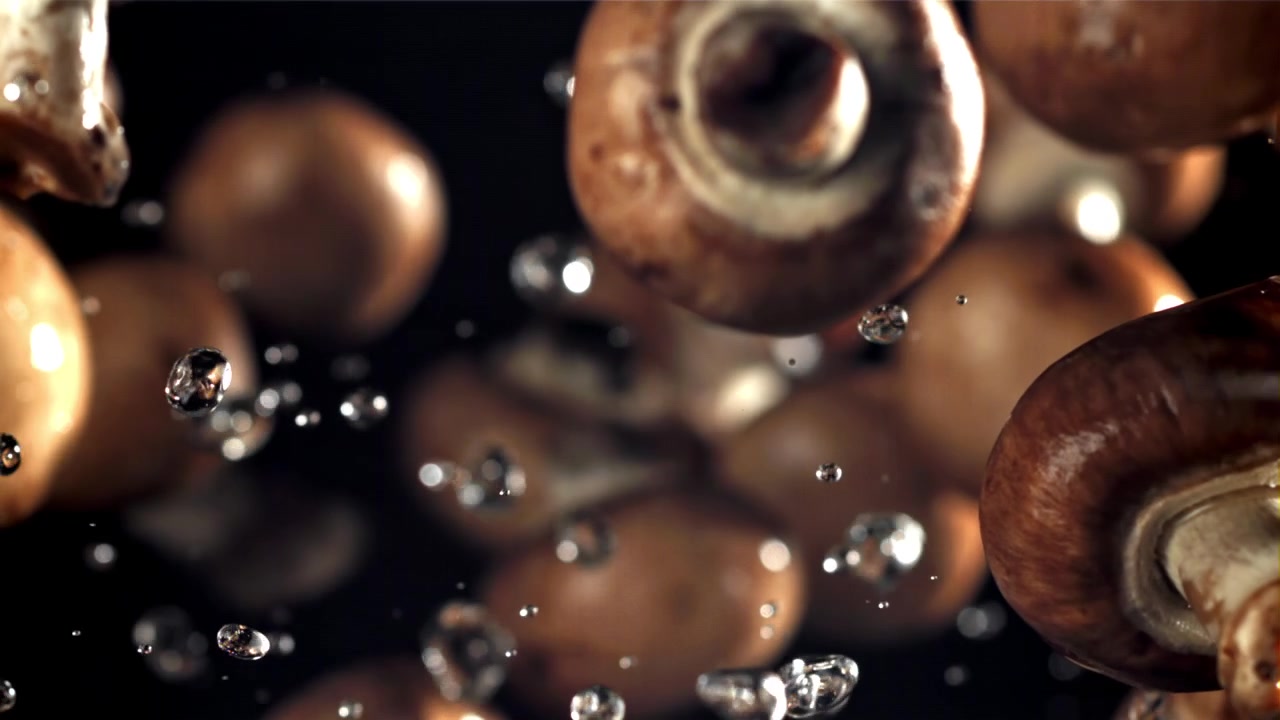 Movimento lento di funghi bagnati che schizzano con goccioline d'acqua