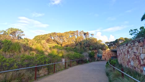 peaceful walkway through lush greenery near twelve apostles landmark