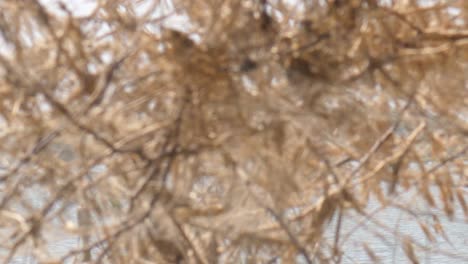 Pasando-Junto-A-Dos-Personas-En-Una-Balsa-Salvavidas-Improvisada-Flotando-En-Un-Río-Inundado-En-Sindh