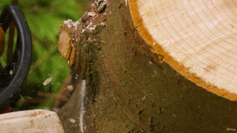 slow motion view of forest worker using chainsaw to cut log with wood chippings flying towards camera 4k