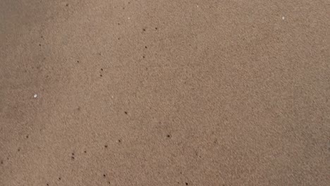 yellow sandy beach with sea wave water rushing towards it at morning