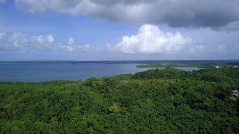 Vista-Aérea-Sobre-Las-Copas-De-Los-árboles-Verdes-De-Una-Bahía