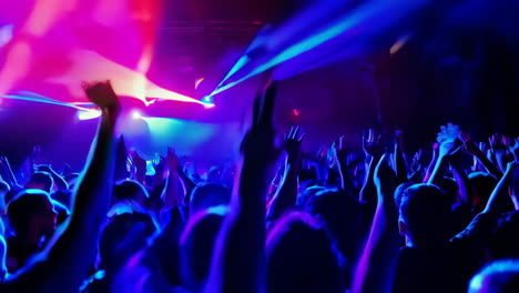 folla eccitata a un concerto