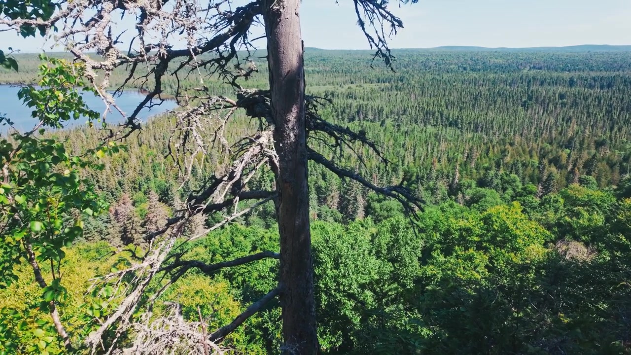 A panning shot of a forest view of miles of greenery and a lake at Isle Royale National Park.