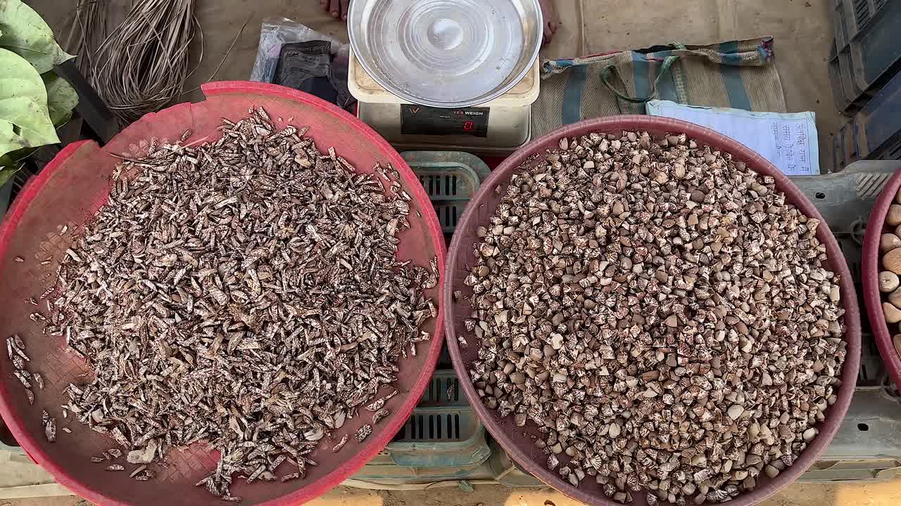 Crushed betel nuts being sold in a container.