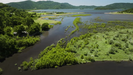 tkibuli lake reservoir shallow shoreline waters with lush vegetation