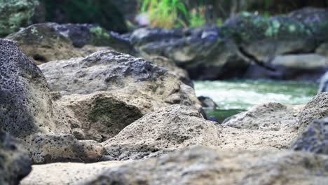 water stream on rocky river