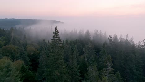 Niebla-Matutina-Con-El-Resplandor-Del-Amanecer-Capturado-Sobre-Las-Copas-De-Los-árboles-De-La-Costa-Audaz-De-Maine