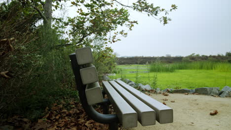 bench in a park landscape