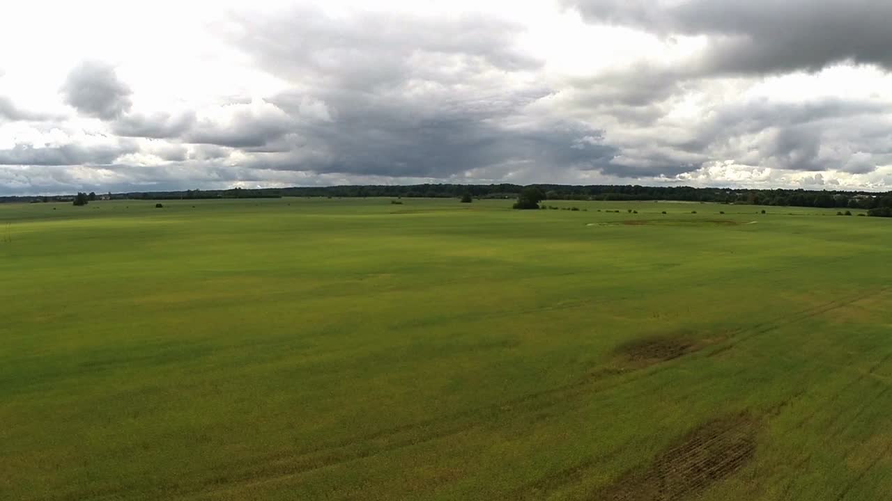 зеленые сельскохозяйственные поля. аэрофотосъемка