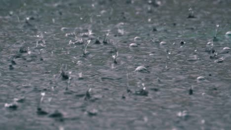 large drops of rain fall in a puddle during a rainstorm. water drops