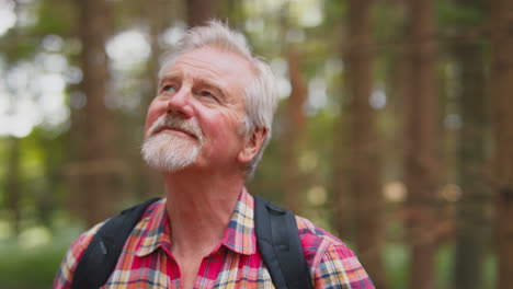 active retired senior man walking in woodland countryside wearing backpack