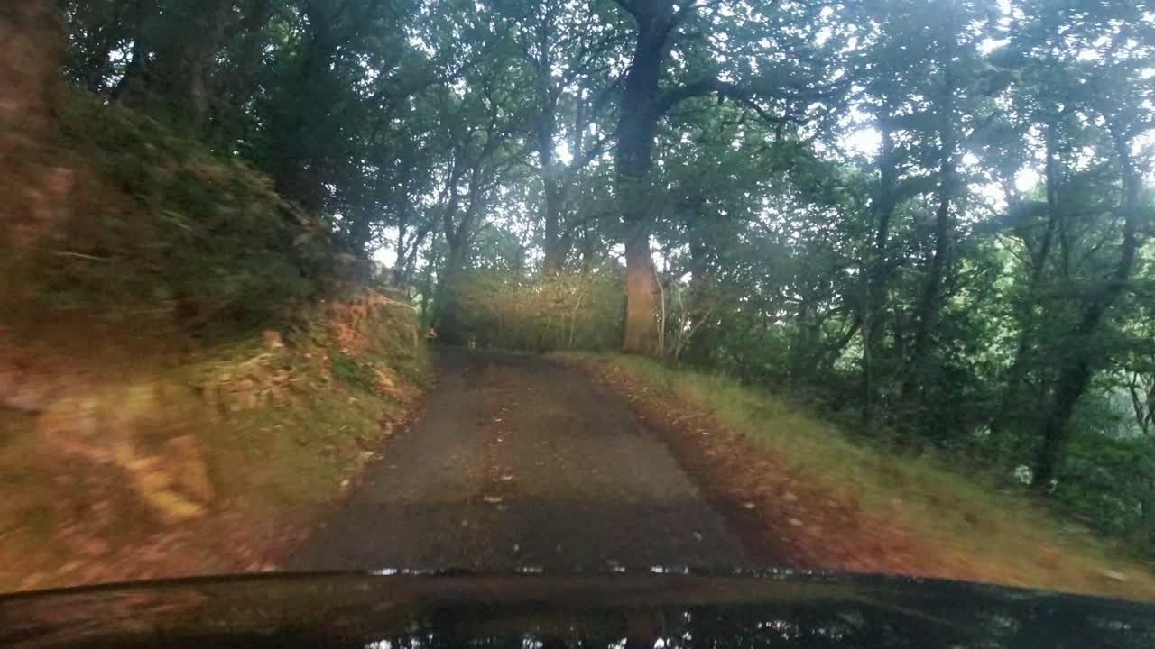 Driving POV with Headlights on Small Dirty Countryside Road with Trees and Sheer Cliff Drop in Devon UK 4K
