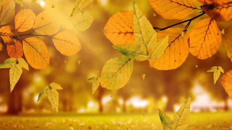 animación de hojas que caen sobre el paisaje de otoño