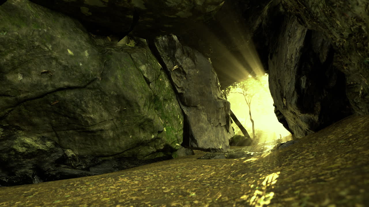 Exploring a tranquil cave with sunlight filtering through the trees