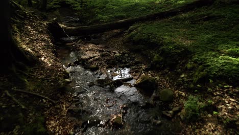 Pequeño-Arroyo-En-El-Bosque-Con-Un-árbol-Caído