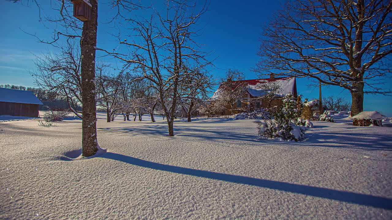hermoso paisaje invernal con árboles sin hojas contra el cielo azul y la luz del sol en movimiento, lapso de tiempo