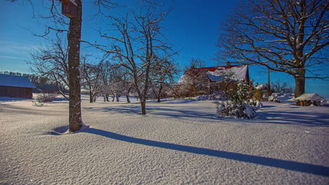 Hermoso-Paisaje-Invernal-Con-árboles-Sin-Hojas-Contra-El-Cielo-Azul-Y-La-Luz-Del-Sol-En-Movimiento,-Lapso-De-Tiempo