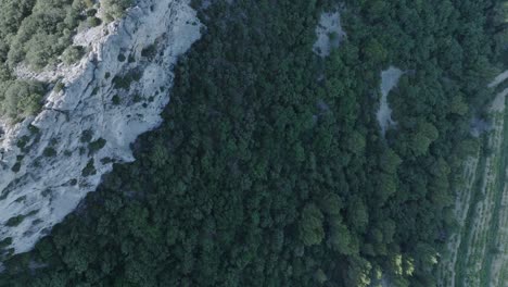 Luftdrohne-Von-Oben-Nach-Unten-Geschossen-Vaucluse-Provence-Laces-Montmirail-Frankreich