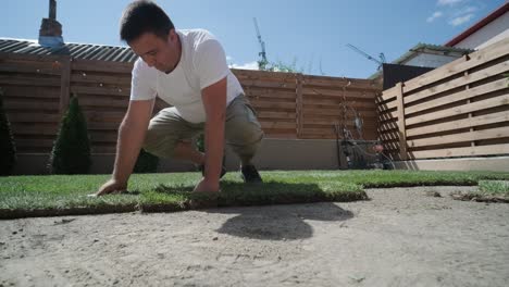 gardener laying a roll of natural lawn turf