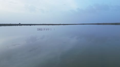 Calm-lake-with-birds-on-cloudy-day