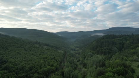 Vista-Aérea-Bosque-Montaña-Escénico