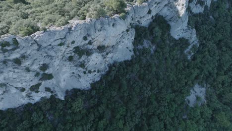 Aerial-Drone-Top-Down-shot-Vaucluse-Provence-Dentelles-Montmirail-France