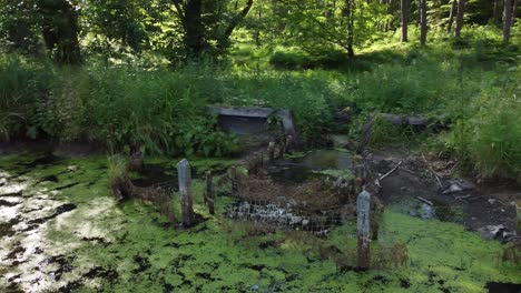 old-water-dam-in-bush-on-lake-aerial-circulating-left