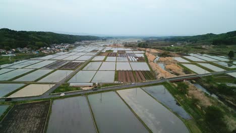 cinematic aerial: rice paddy fields with watered agriculture plants on cloudy day in rural japan